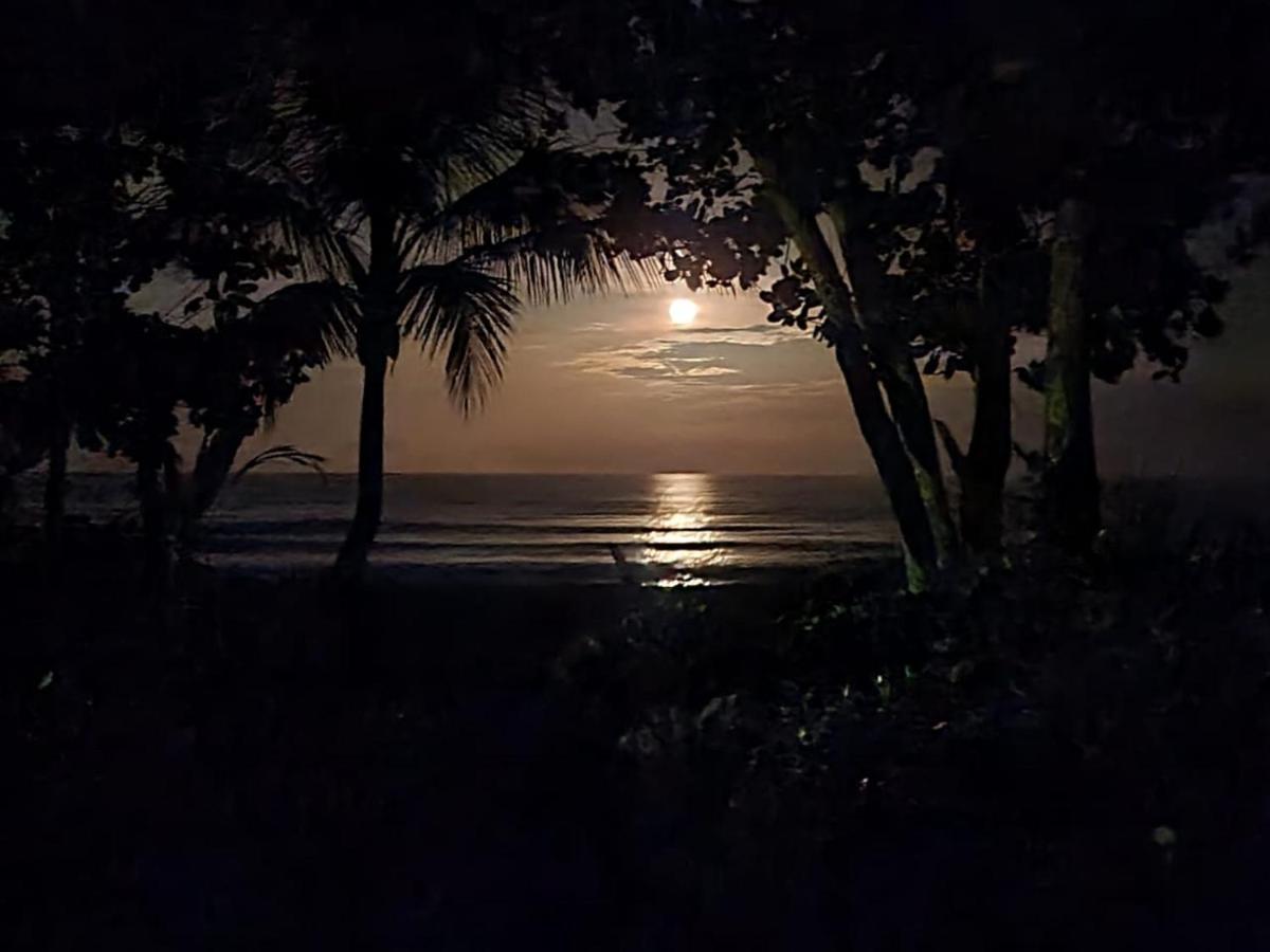 Cabinas El Muellecito Tortuguero Exteriör bild