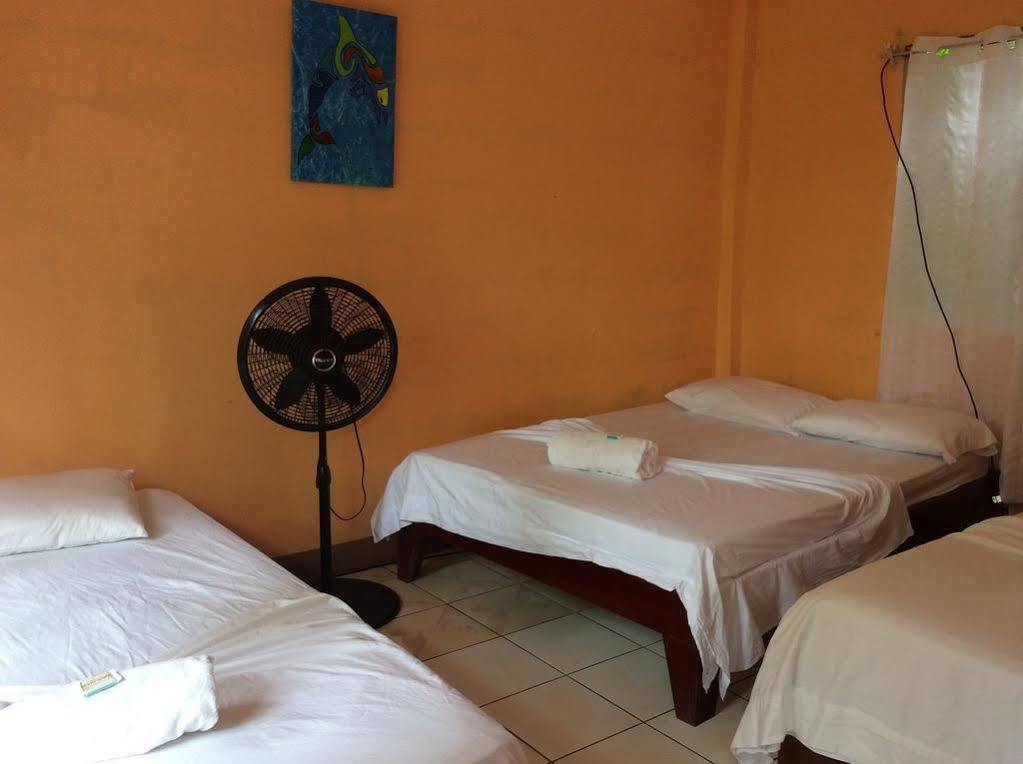 Cabinas El Muellecito Tortuguero Exteriör bild