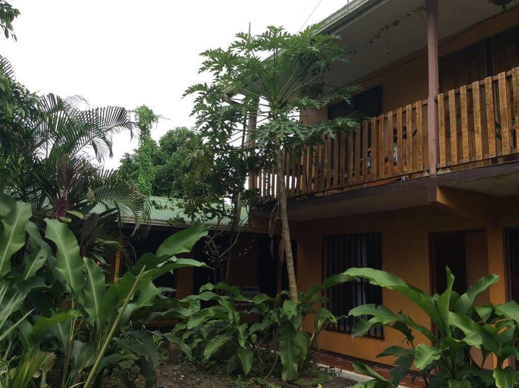 Cabinas El Muellecito Tortuguero Exteriör bild
