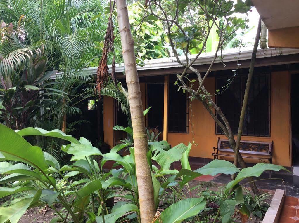 Cabinas El Muellecito Tortuguero Exteriör bild