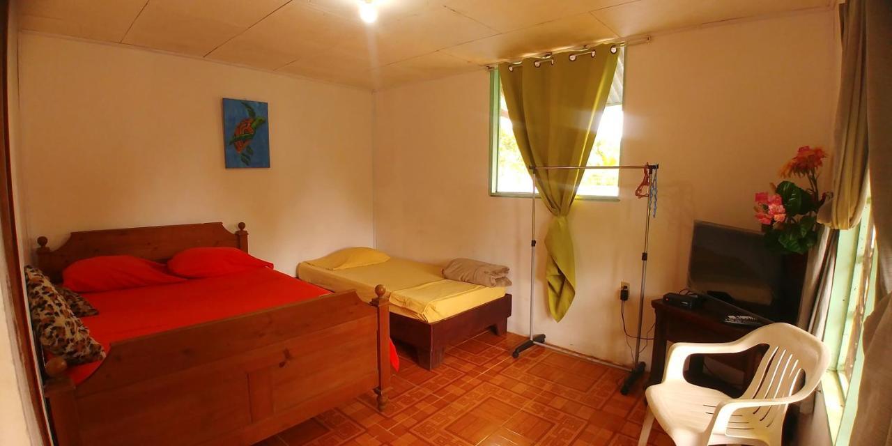 Cabinas El Muellecito Tortuguero Exteriör bild